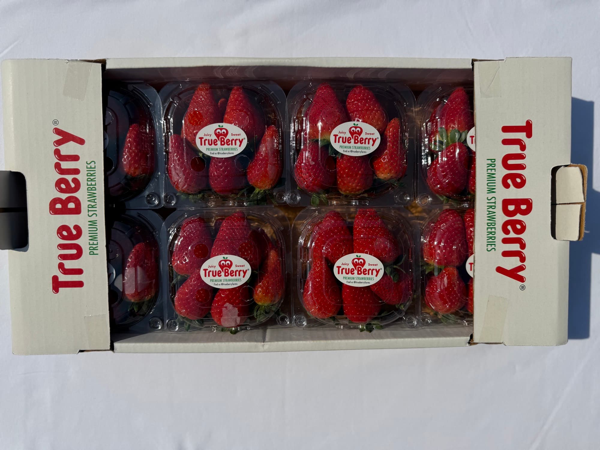 Fresh vs. frozen: which strawberry format fits your product?